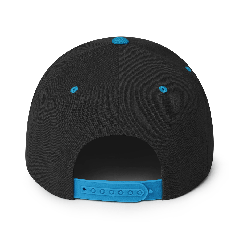 Support Your Local Villains Snapback Hat